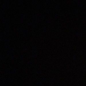 Meet your Posher, Dorisdoris